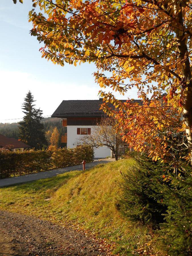 Ferienwohnung Piller Hohenau Exteriér fotografie